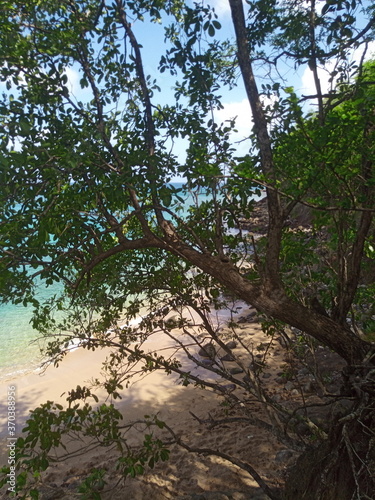 Point de vue  de Guadeloupe