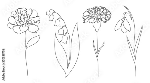 Set of flowers