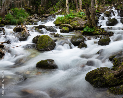 Stormy Mountain River in rocky valley in the wood. Summer