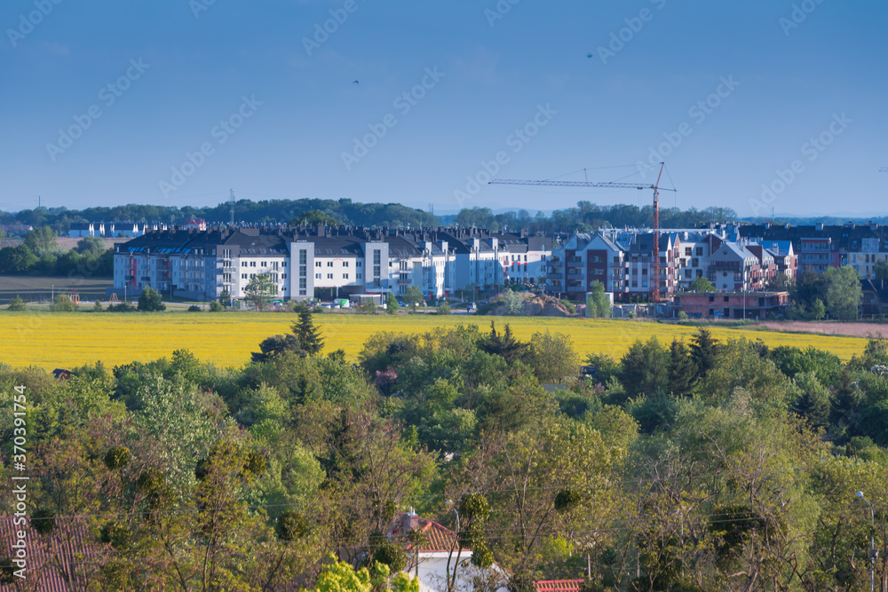 Bloki mieszkalne i budowa z dźwigiem za polem kwitnącego rzepaku, fragment panoramy miasta Wrocław