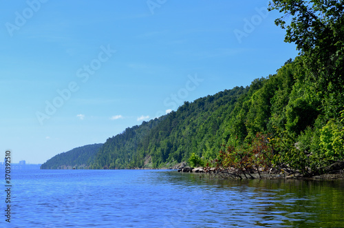 the river bank overgrown with trees goes into the distance to the city