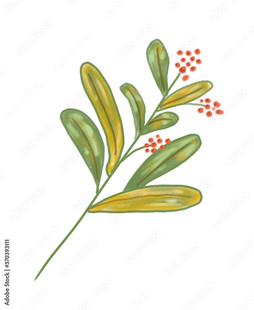 Hand drawn sketch illustration of branch with leaves and red berry