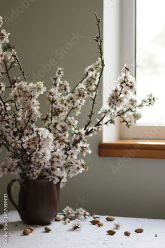 still life with lilac flowers