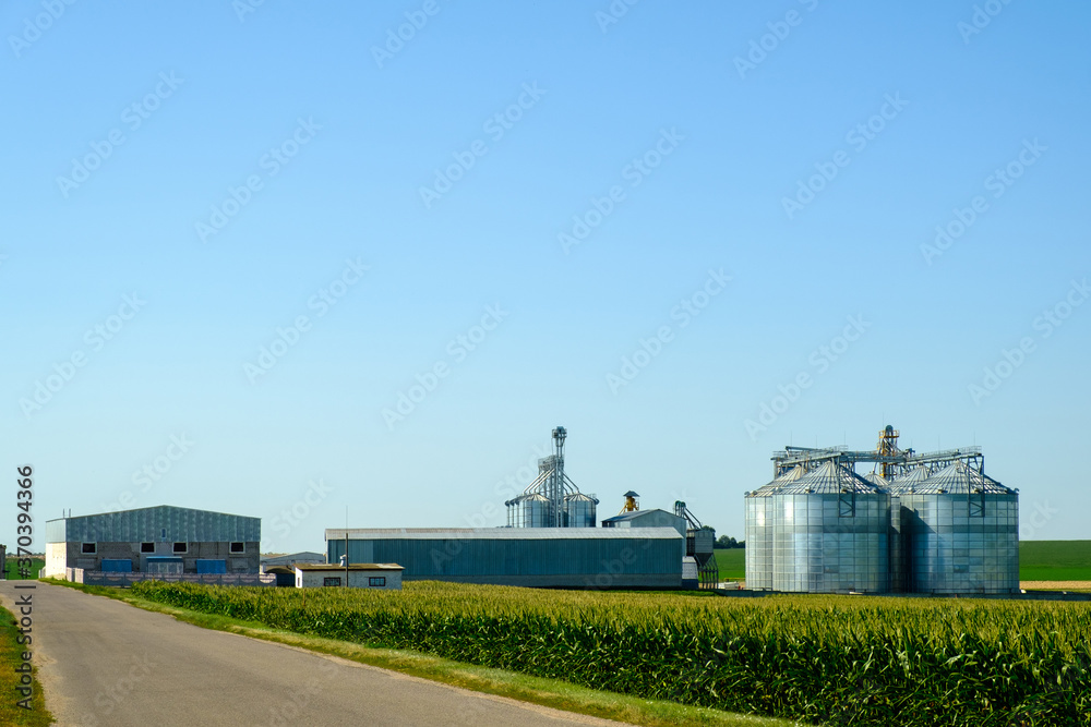 Agricultural Silos. Building for storage and drying of grains, wheat, corn. Modern granary elevator. Agribusiness concept.