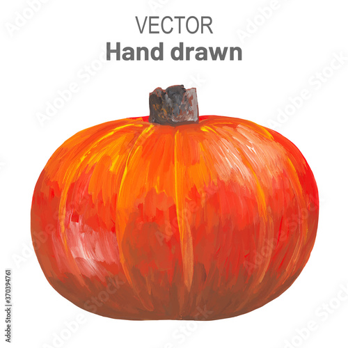 hand drawn traced illustration of an orange pumpkin isolated on a white background. Vector vegetable illustration of a whole orange pumpkin. Drawn in gouache in a realistic style.