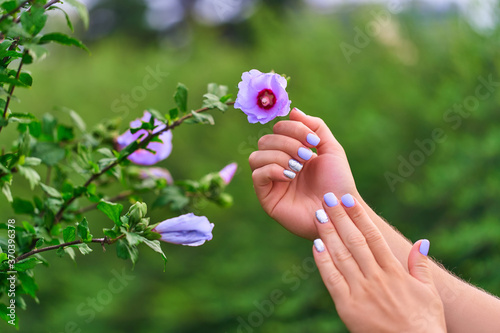 Female manicure with color nail polish and silver glitter against the background of flowers in a park outdoors © Goffkein