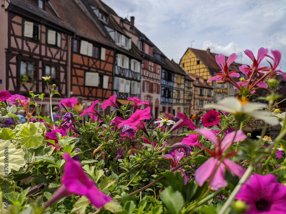 Colmars fleurs route des vins d'Alsace, plus beau village de france avec maison en bois poutre et charpente architacture traditionnel vieille  ferme à colombage