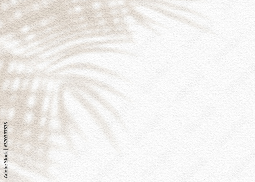 White gray grunge cement texture wall leaf plant shadow background.Summer tropical travel beach with minimal concept. Flat lay palm nature . White gray grunge cement texture wall leaf plant shadow background.Summer tropical travel beach with minimal concept. Flat lay palm nature .