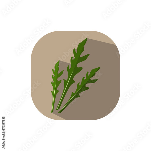Flat design rucola salat