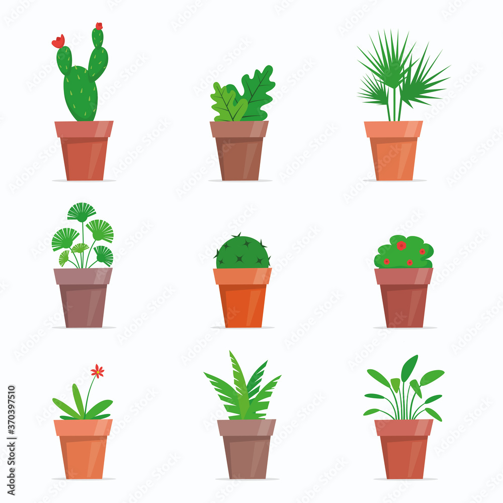Fototapeta premium Potted plants and flowers. Cute house plants in flat style. Vector illustration.
