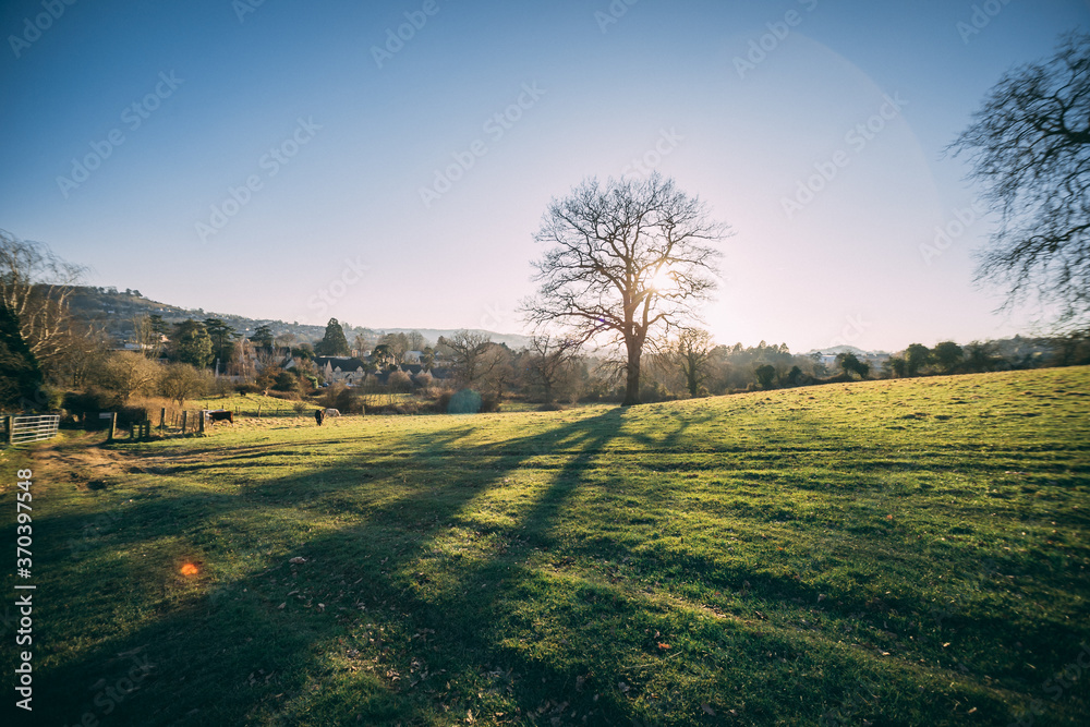 Obraz premium cotswolds landscape