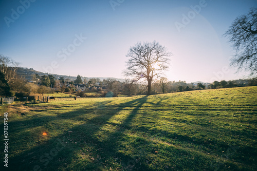 cotswolds landscape