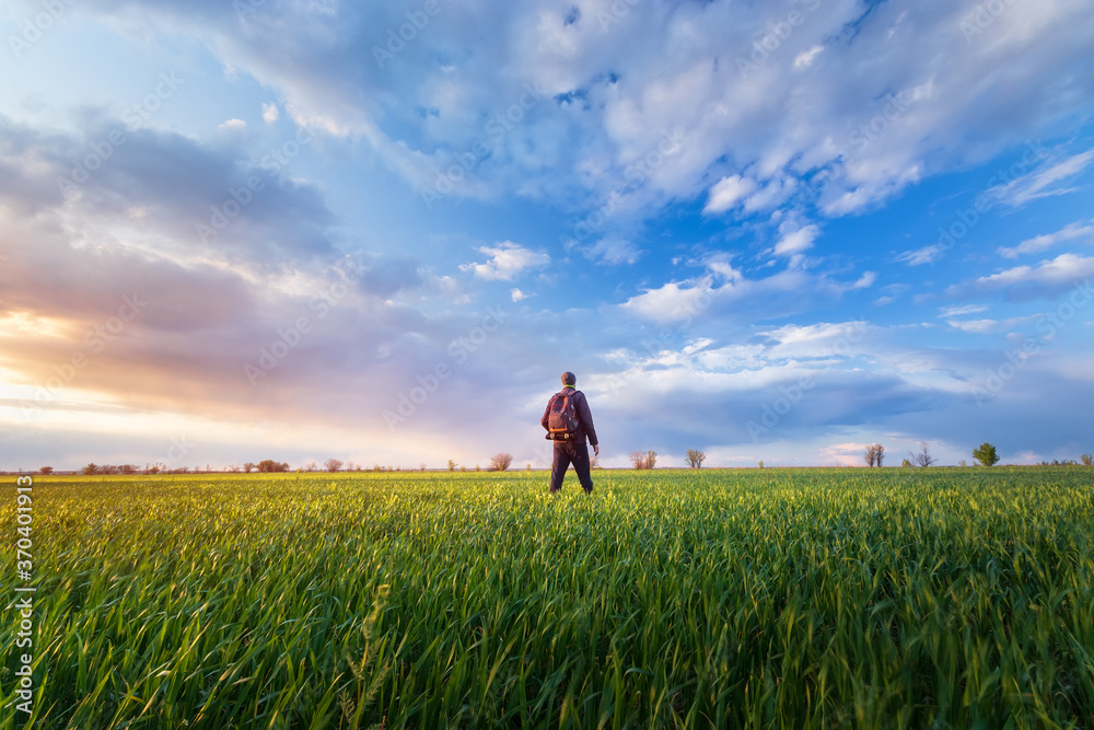 sunset on a green field / a man looks at the sun