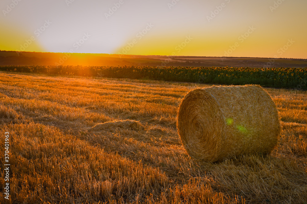 Bale of straw on a field with mown wheat at sunset