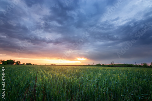 sunset on a green field / seeing the sun off the horizon