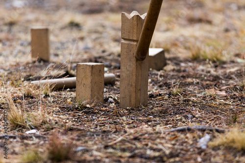 Swedish outdoor game Kubb in the garden