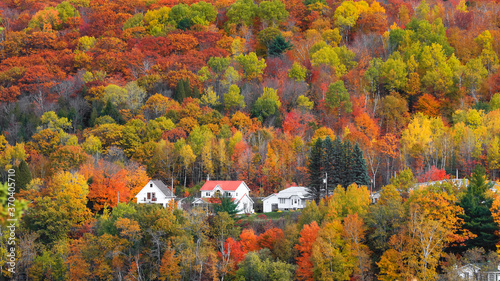 Fall foliage in Quebec mountains along scenic highway 155 in Quebec, Canada 