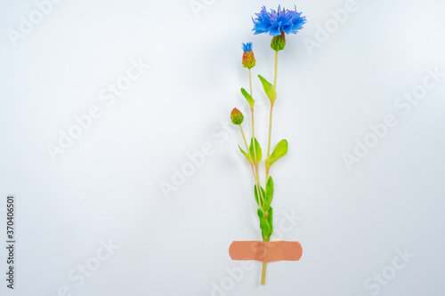 Minimalistic flower arrange...