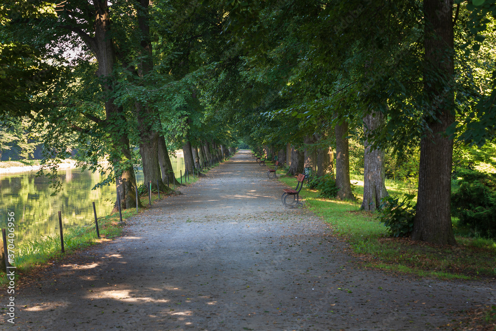 Alley - a path lined with trees. A pond can be seen next to the road and there are benches on the way. The sun shines through the trees. Alley - a path lined with trees. A pond can be seen next to the road and there are benches on the way. The sun shines through the trees.