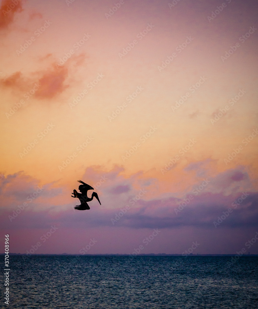 One pelican diving downward with colorful sunrise sky behind