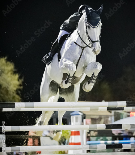 Rider on horse during jumping show