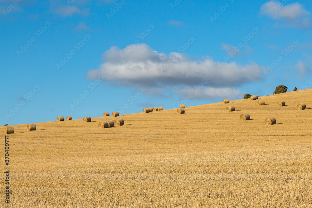 Fototapeta premium Hay Bales in a Sussex Field