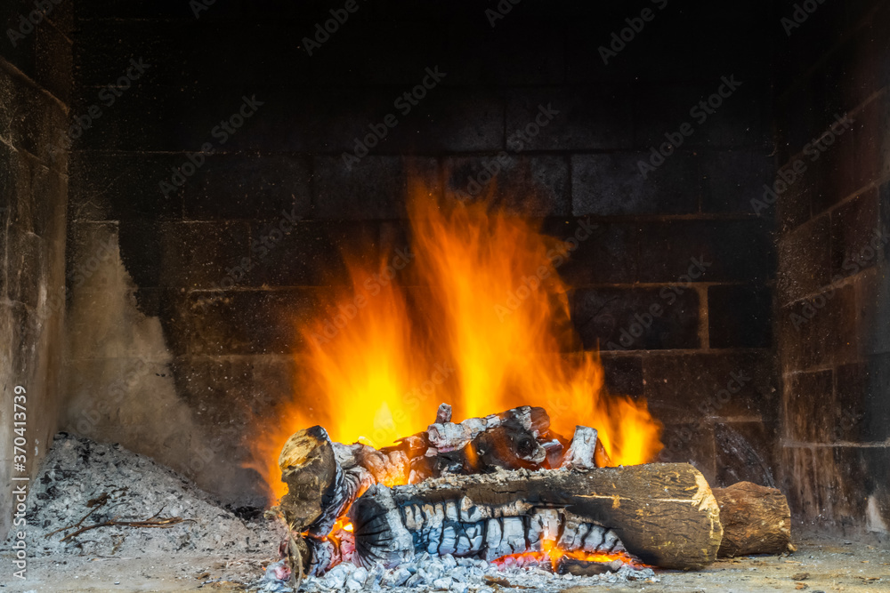 Flames in different forms of a bonfire made with orange tree trunks in long exposure with a black background