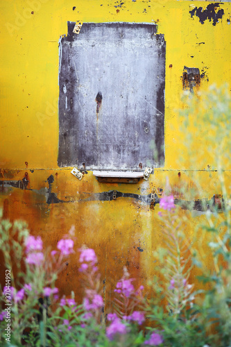 A shabby yellow wall with a gray square with blurred flowers in the foreground. © Alina 