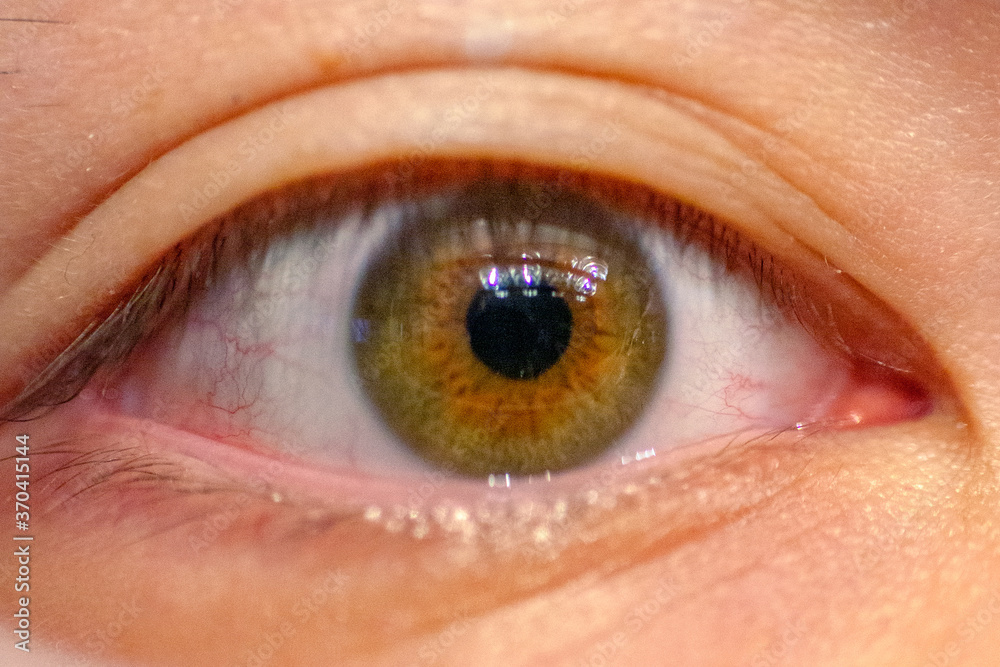Obraz premium Close up of hazel human eye