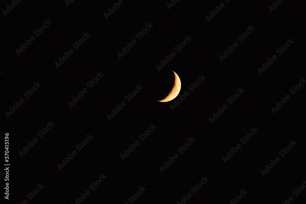 Summer Crescent Summer Crescent