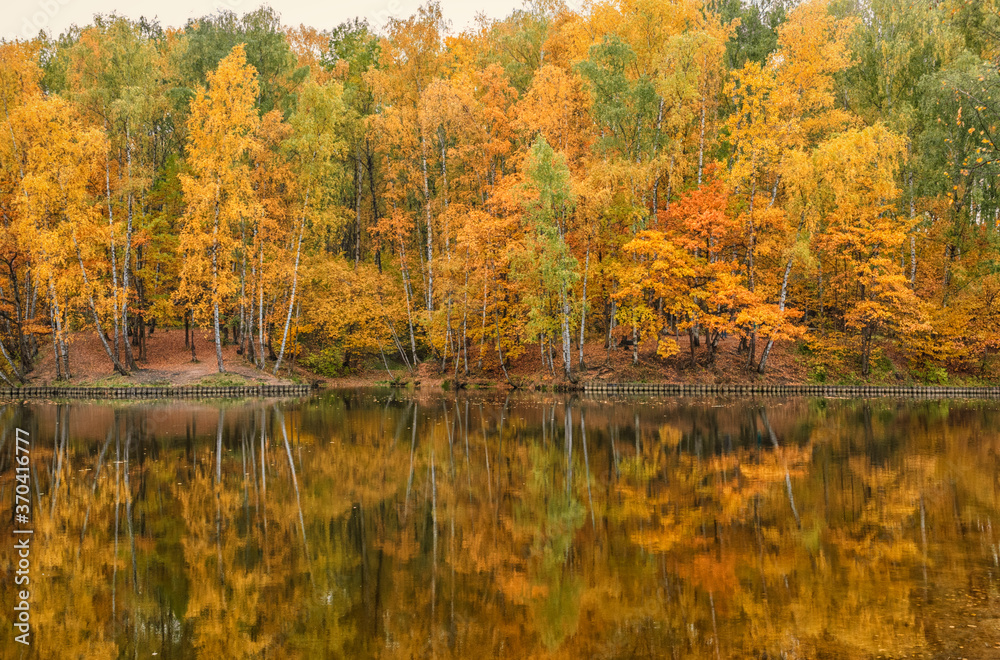 landscape of golden autumn at a forest lake landscape of golden autumn at a forest lake