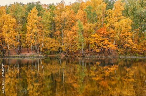 landscape of golden autumn at a forest lake