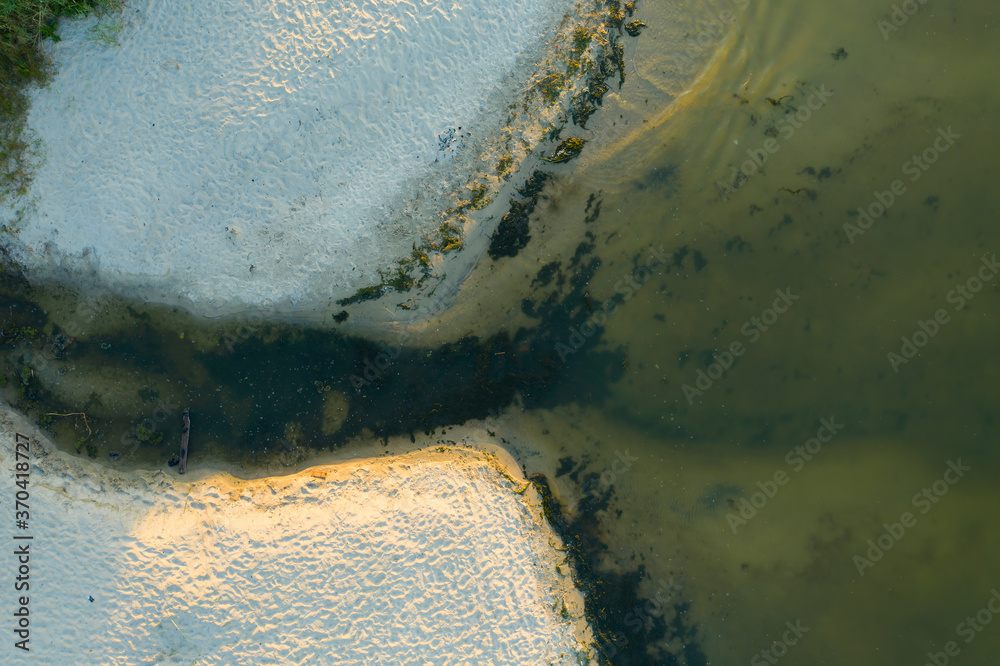 Obraz premium Shoreline with green reeds and sand. Aerial view.