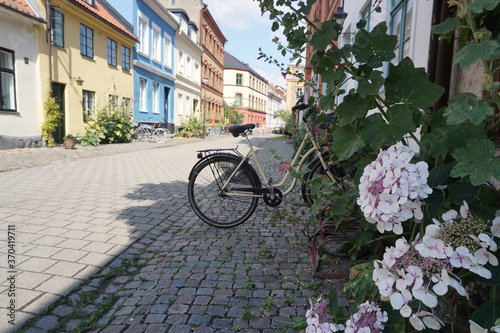 bicycle in the street