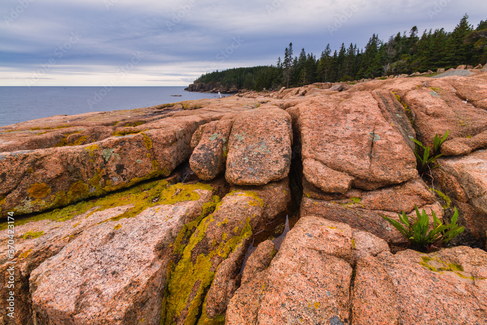Rocky Coast near Otter Cliffs, Acadia National Park, Maine Rocky Coast near Otter Cliffs, Acadia National Park, Maine