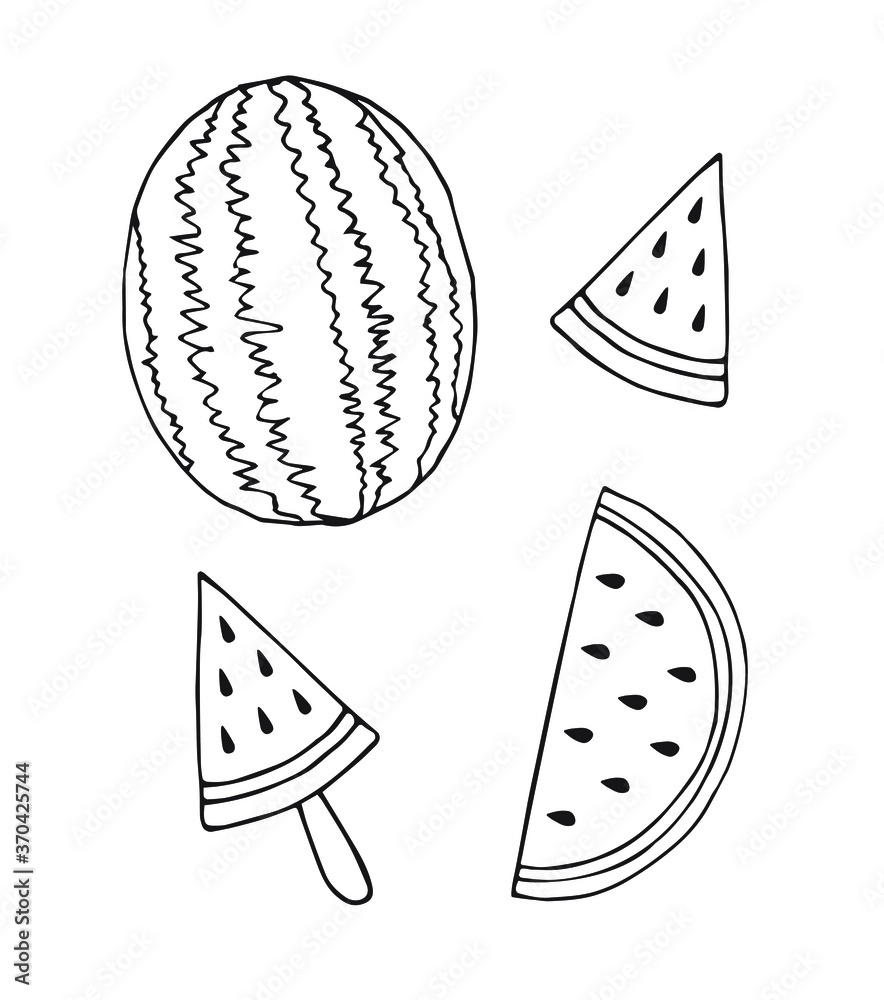 Vector set bundle of hand drawn doodle sketch watermelon isolated on white background Vector set bundle of hand drawn doodle sketch watermelon isolated on white background
