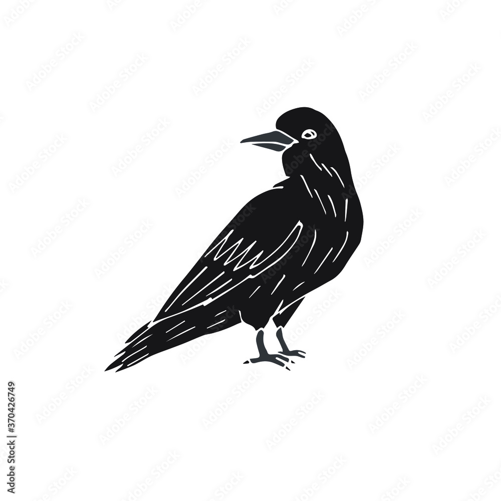 Fototapeta premium Vector hand drawn doodle sketch black raven isolated on white background