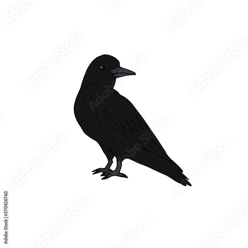 Vector hand drawn doodle sketch colored raven isolated on white background