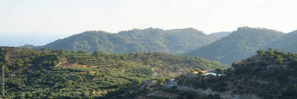 landscape of a mountainous area with olive tree plantations. banner