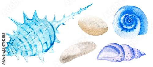 Three watercolor seashells and pebbles hand drawn isolated on white background. Marine clipart