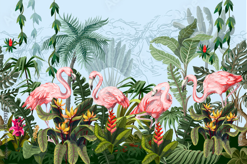 Border with pink flamingo in the jungle. Vector.