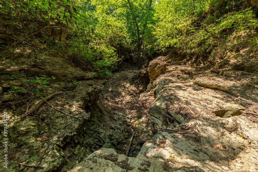 A Dried Up Riverbed In The Woods A Dried Up Riverbed In The Woods
