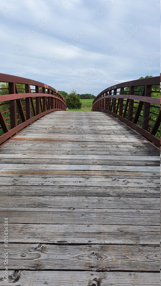wooden bridge in the forest wooden bridge in the forest