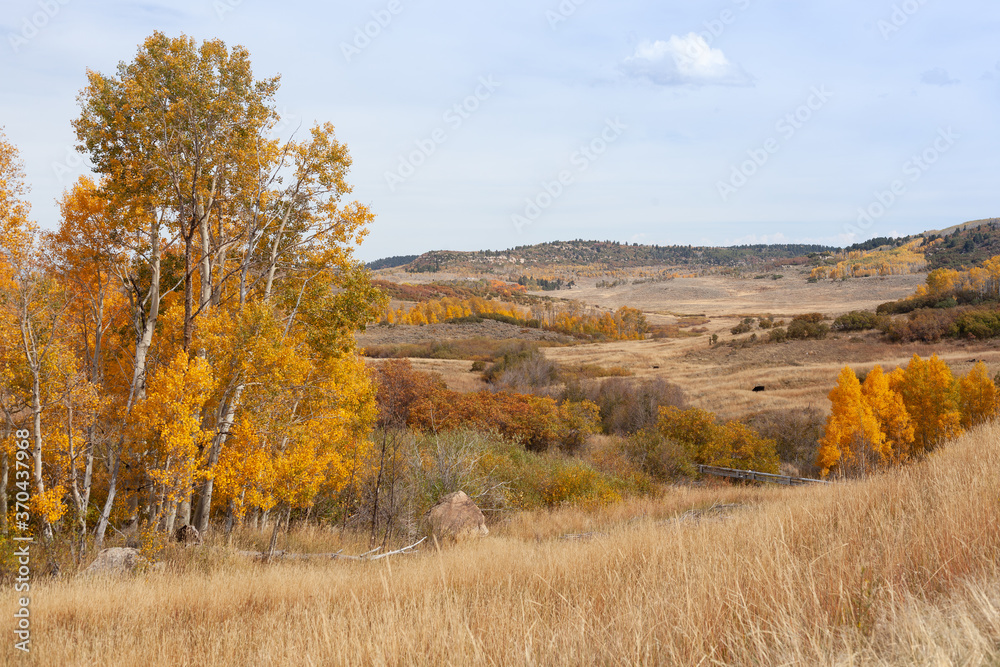 Autumn landscape with rolling hills