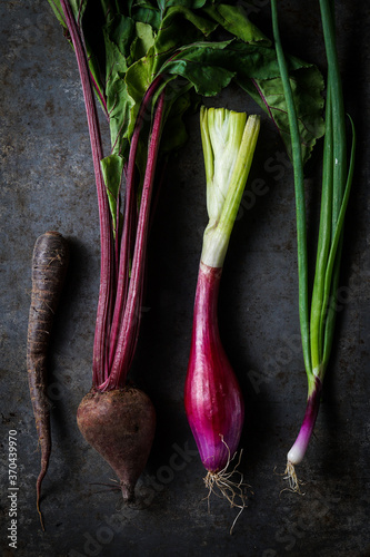 Purple carrot, red beet, red onion, scallion