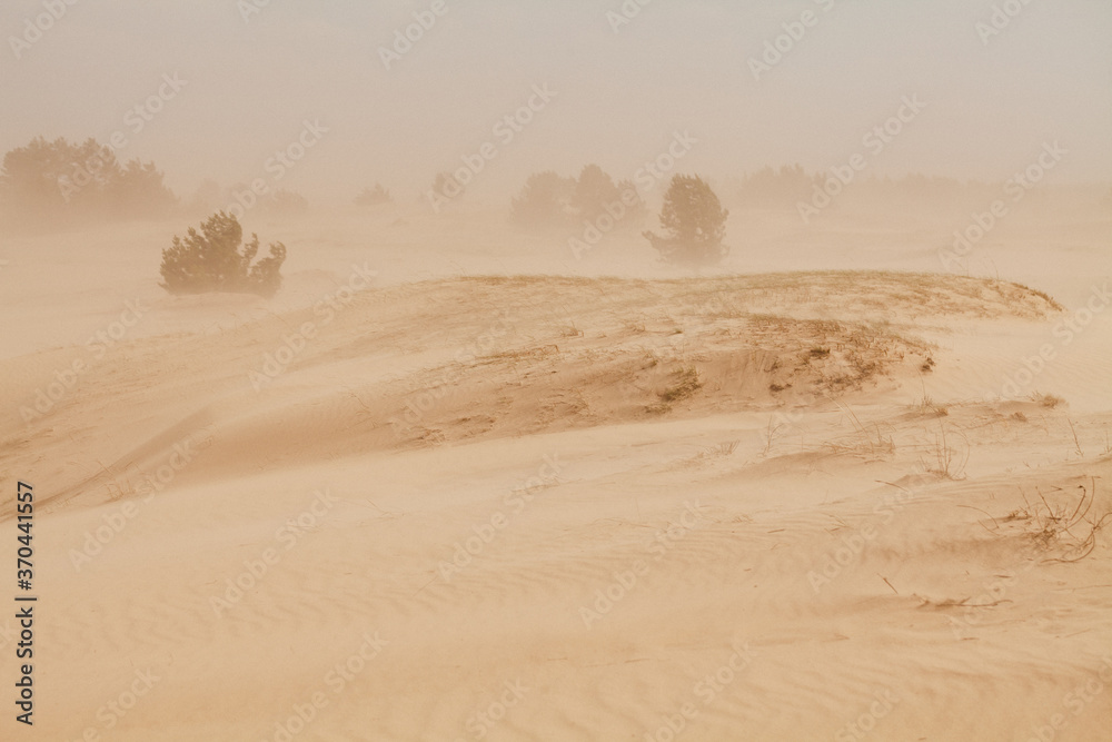 The send of the Desert. Sahara send texture. Thousand kilometers of row of sand dunes, barkhan belt and fixed by special plants sands, pebbly upland sand plots, thorny bushes. Send storm