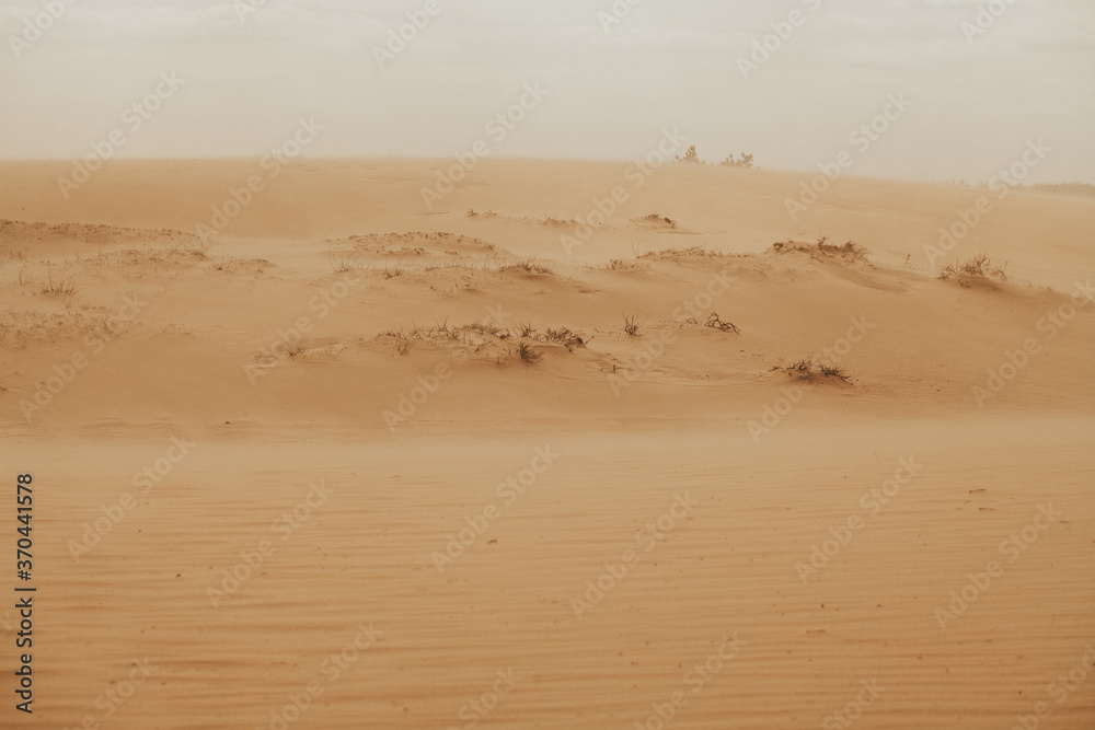 The send of the Desert. Sahara send texture. Thousand kilometers of row of sand dunes, barkhan belt and fixed by special plants sands, pebbly upland sand plots, thorny bushes. Send storm The send of the Desert. Sahara send texture. Thousand kilometers of row of sand dunes, barkhan belt and fixed by special plants sands, pebbly upland sand plots, thorny bushes. Send storm