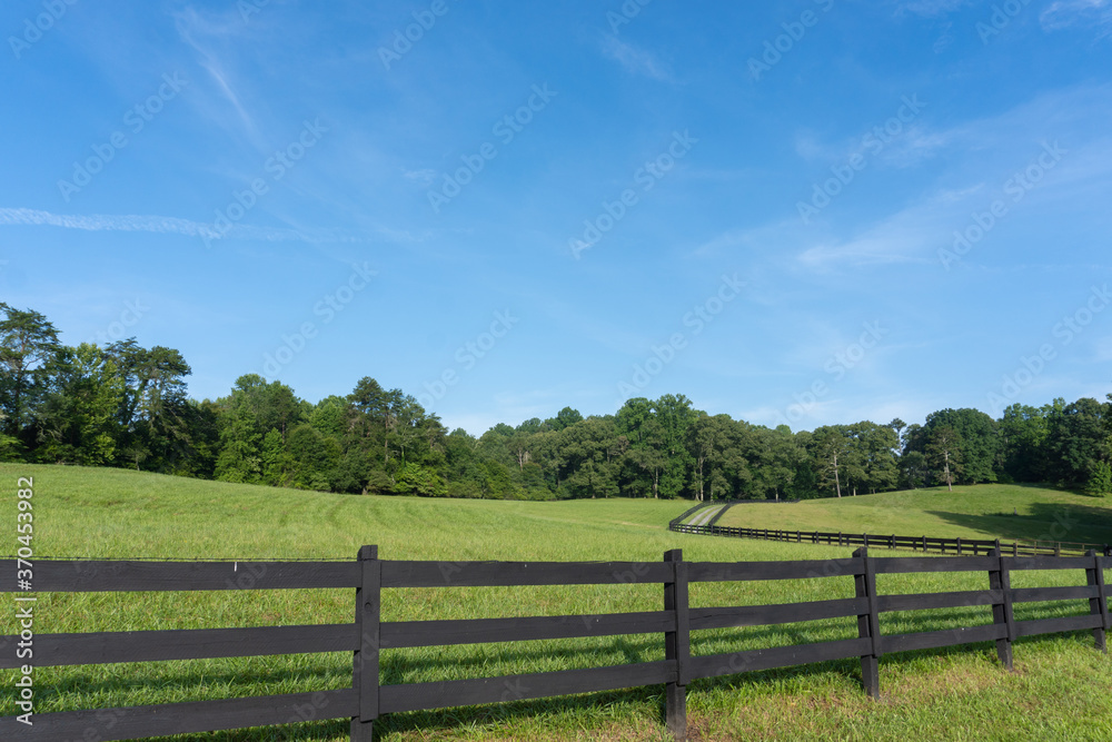 A wooden fence runs through a hilly pasture along a dirt road on a farm in Georgia