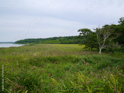 北海道根室市風連湖