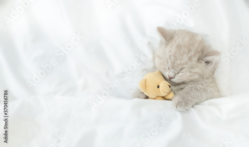 Cute kitten sleeps under blanket on a bed at home and hugs favorite toy bear. Top down view. Empty space for text
